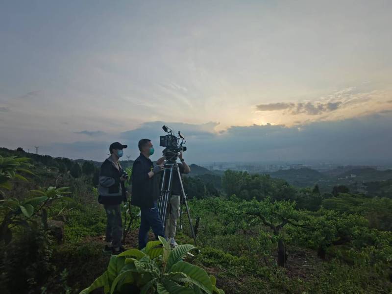 创意破圈！温州电商产品宣传视频用故事化叙事引爆流量