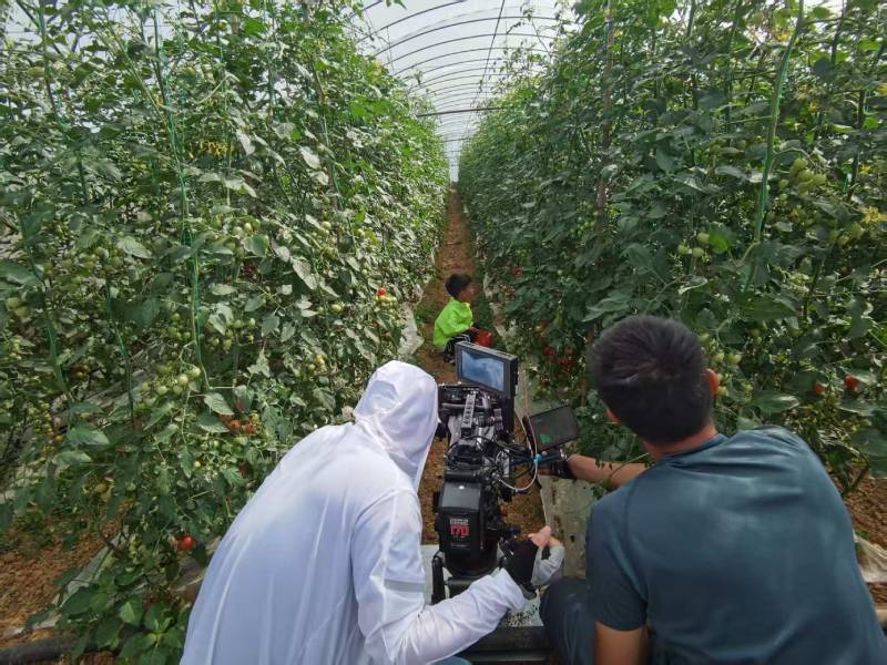 温州产品宣传视频拍摄公司进阶指南，助力品牌抢占传播高地